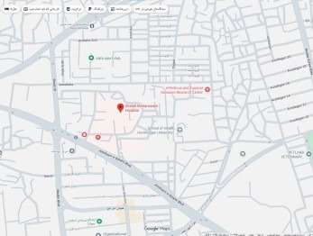google map image